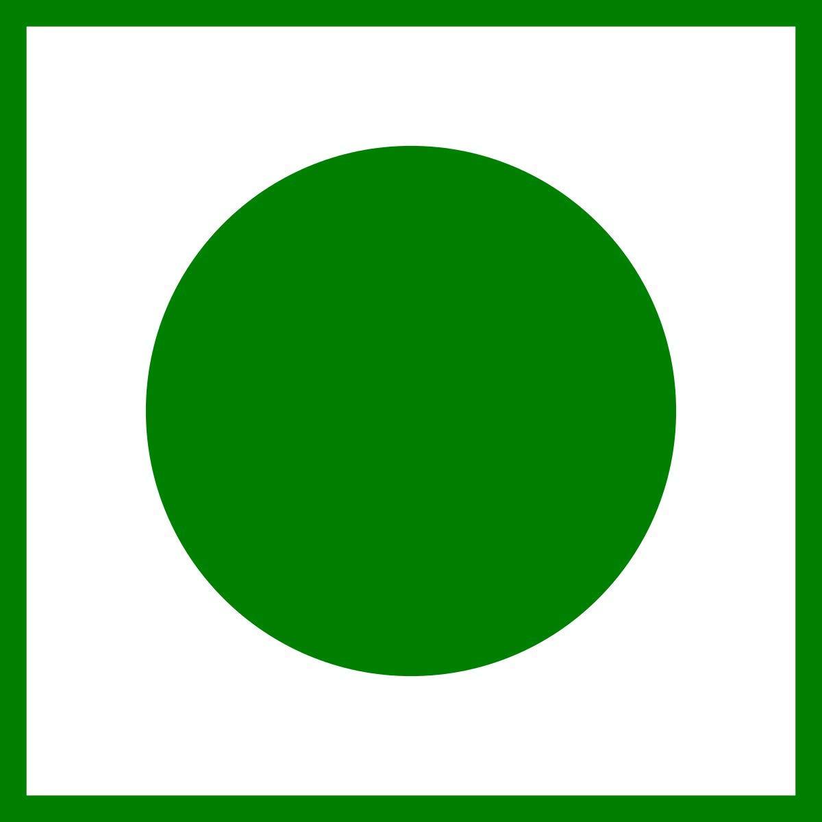 Generic Kerala natural spices NUTMEG MACE(Jathi Pathri) 100gm