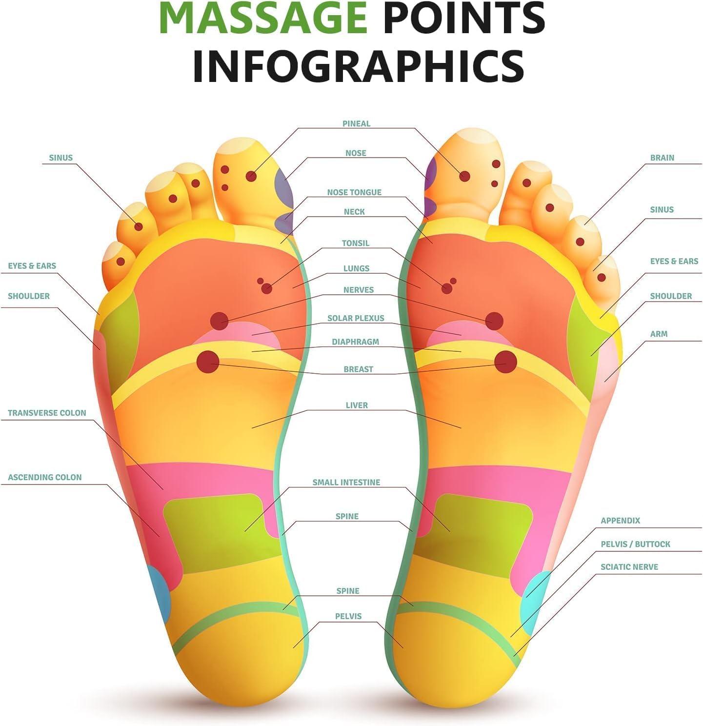3M Littman 3M ESPE 12130 Floss and Toss Disposable Flossers Refill (Pack of 30)