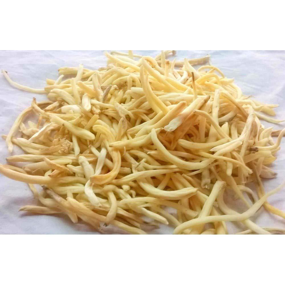 Pawan Pansari 100% Natural Safeed Musli Safed Musli/Chlorophytum Borivilianum Root