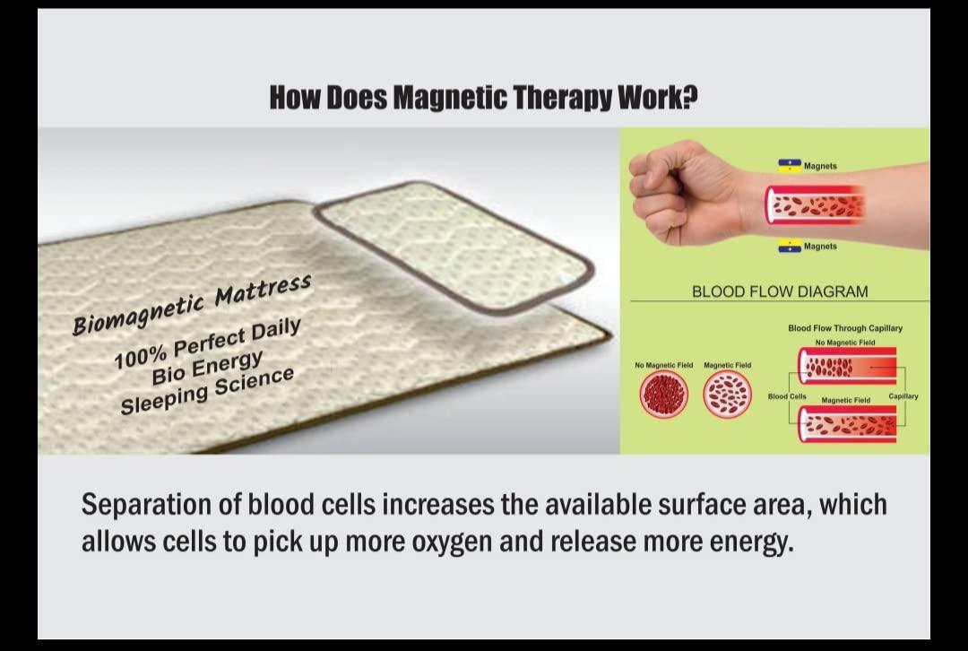 Generic The Traditional Export Magnetic Field Therapy | Bio Magnetic Mattress Topper (3x6 feet.)(Blue)