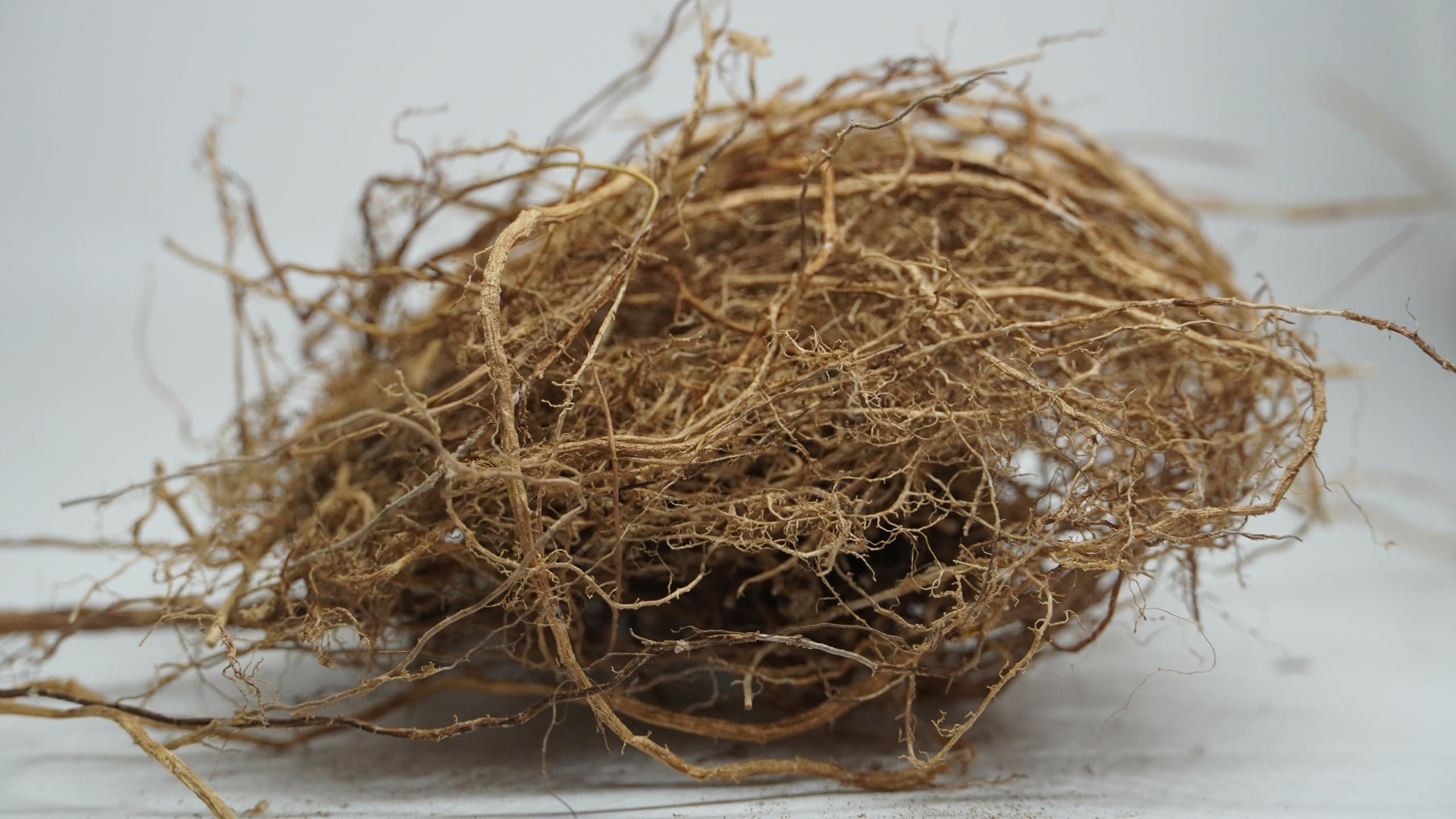 THOGAI THOGAIS -VETTI VAER- VETIVER ROOT/VETIVERIA ZIZANIOIDES/Khas Khas grass/Khus/ (50 GRAMS (PACK OF 1))