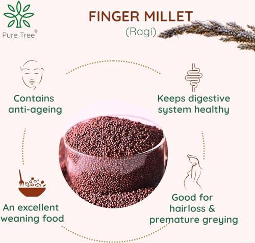 Pure Tree Pure Tree Certified Organic Ragi Whole | 1900 g | Finger Millet | Nachni | Nagli | Ragi Millet Gluten-Free | Bavto | Red Finger Millet | Ragi Whole Grain