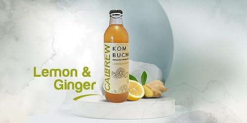 CALBREW CALBREW \"Kombucha + Kefir Combo Pack - Probiotic Rich Tea Fusion | Raw and Unfiltered | Gut-Friendly and Energizing\" |6-Pack Assorted Flavors ||250ml|