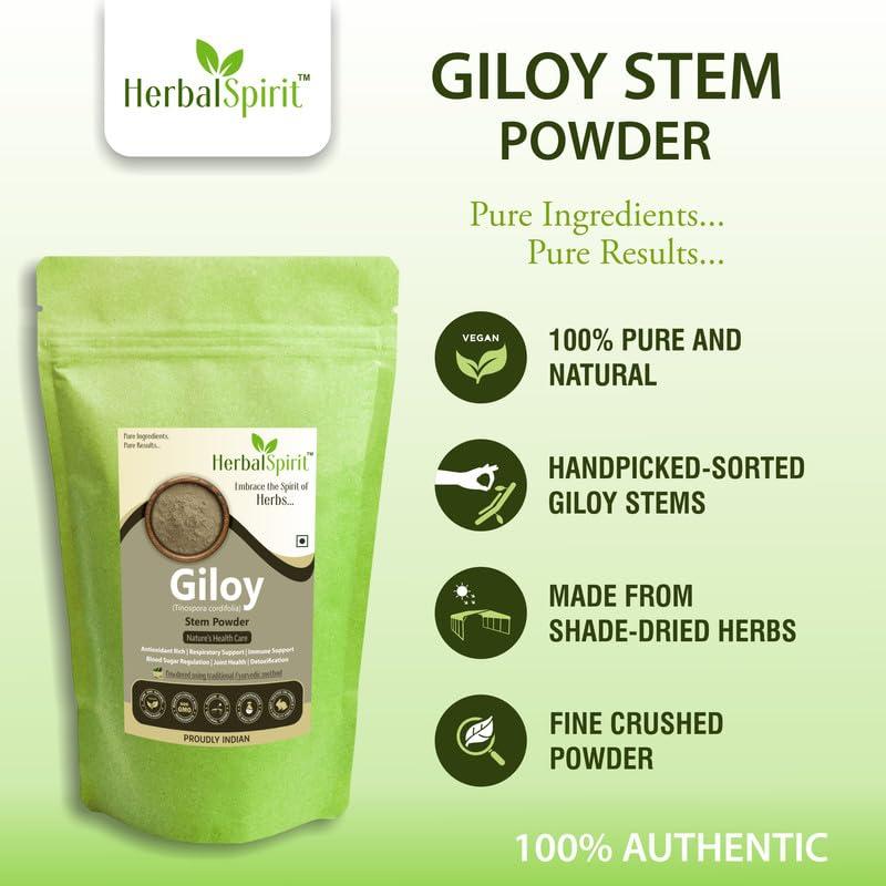 HerbalSpirit Herbal Spirit Giloy Powder Organic | Guduchi Powder | Telagapindi Powder | Giloy Churna Powder | Giloy Stem or Giloy Stick | Tippateega Powder Organic | Thippatheega Powder |250 Gram