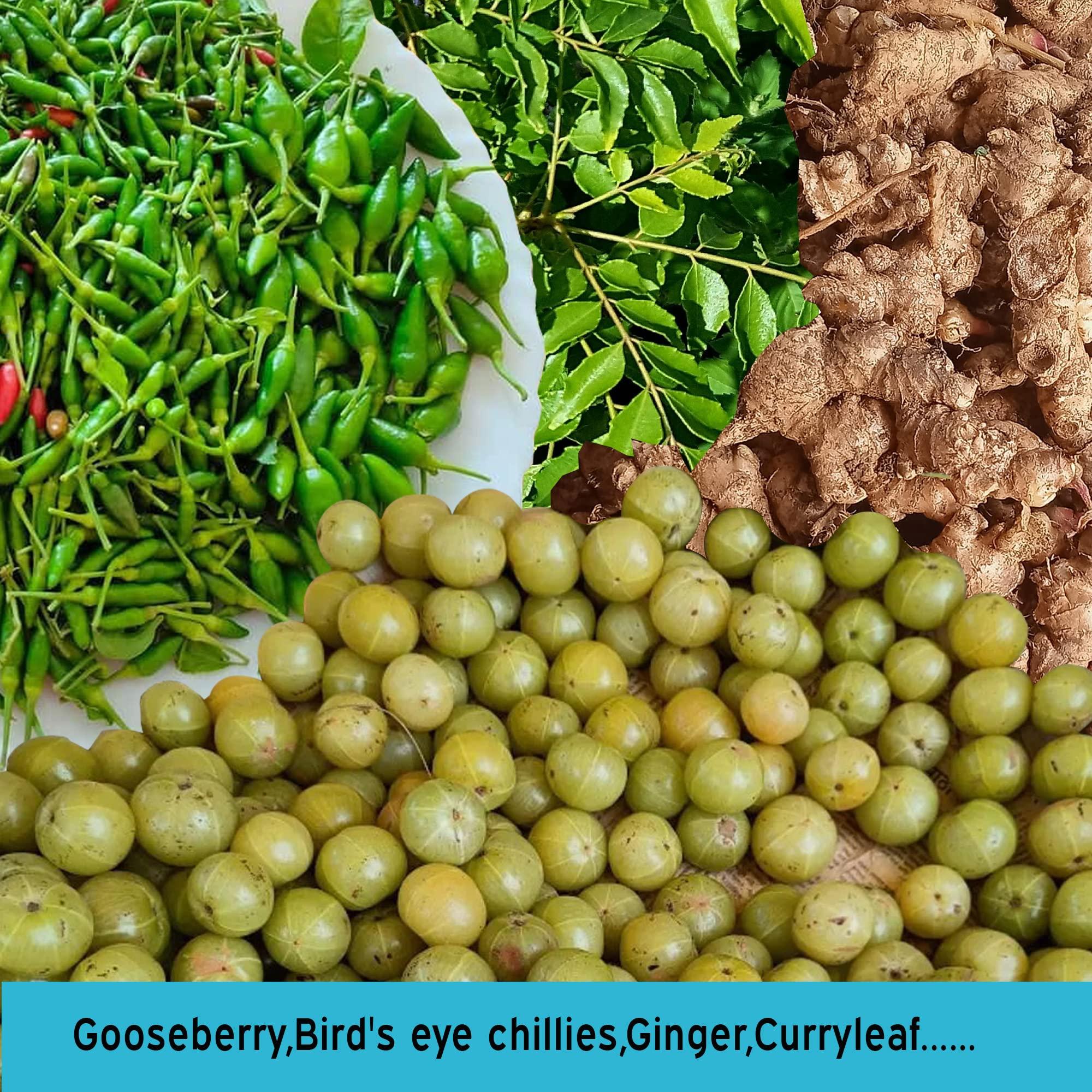 PyAi PyAi Nellikka Kanthari Gooseberry Birds Eye Chilly Syrup (Pack Of 2), Liquid