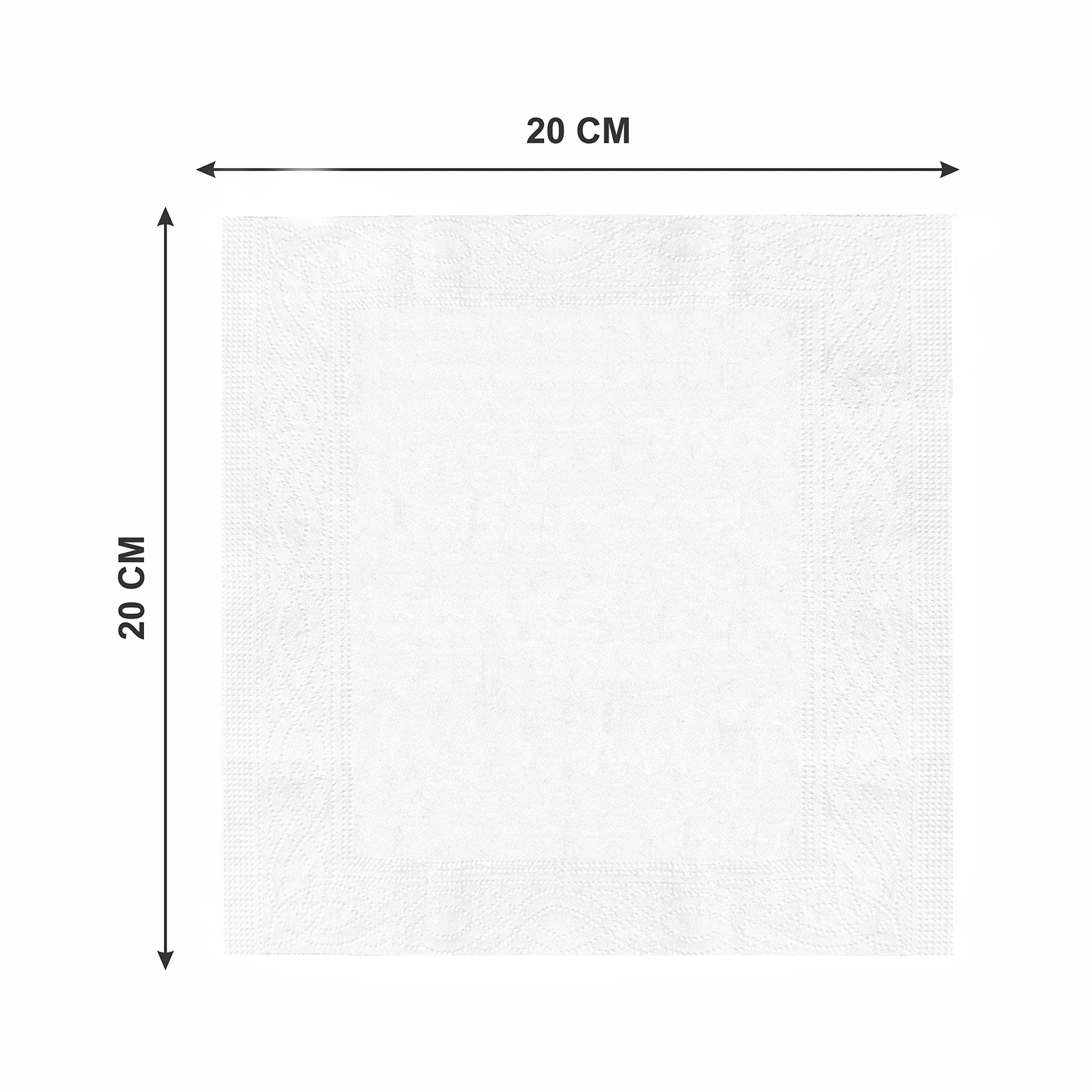 PIOUS PIOUS 2 Ply Highly Absorbent Soft Hanky Facial Travel Pocket Tissue Papers Use & throw tissue (size-20x20cm) (10 Pulls Per Packet) (500)