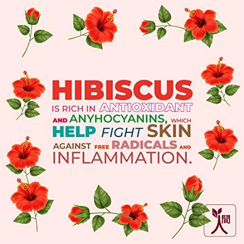 Ningen Ningen Hibiscus Hair Pack I Goodness of Amla and Heena Extracts I Dermatologically Tested, Paraben Free I Removes Dandruff and Prevents Greying I 100g,Brown