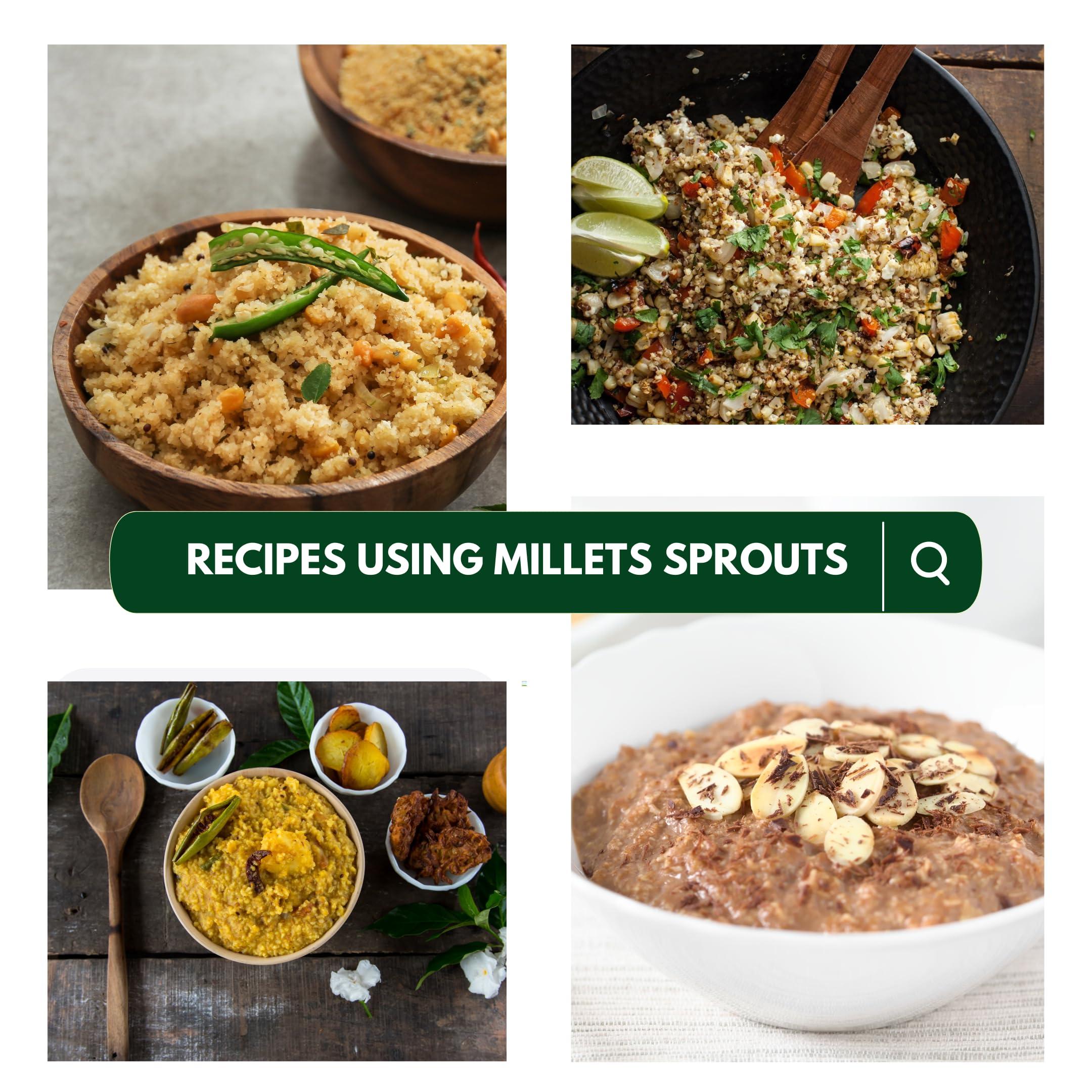 NIHKAN NIHKAN Multi Millet Sprouts | Ready to use Sprouted millet grains | No need of Pre soaking | Use instantly for cooking | 100% Natural No Preservatives (250 g, 1)