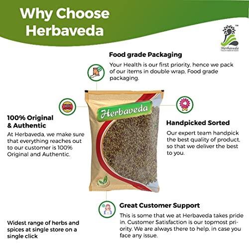 LEANBEING Herbaveda- Alfalfa 500g | Alfalfa Seeds for Sprouting| Alfa Alfa Seeds | Alfalfa Seeds for Eating