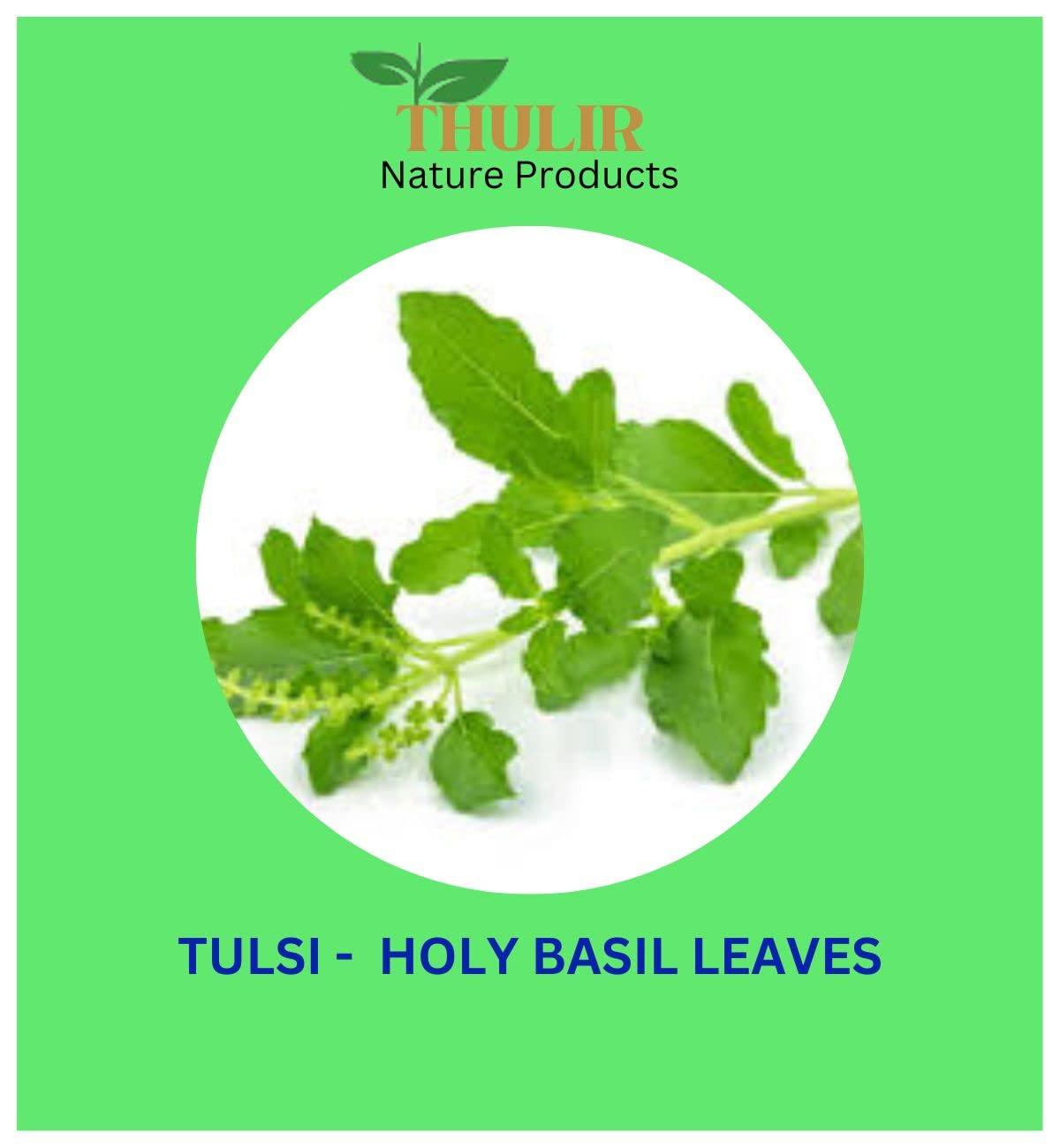THULIR THULIR Tulsi Leaf Powder | Holy Basil Leaf Powder - 100 Gms| Ocimum Tenuiflorum