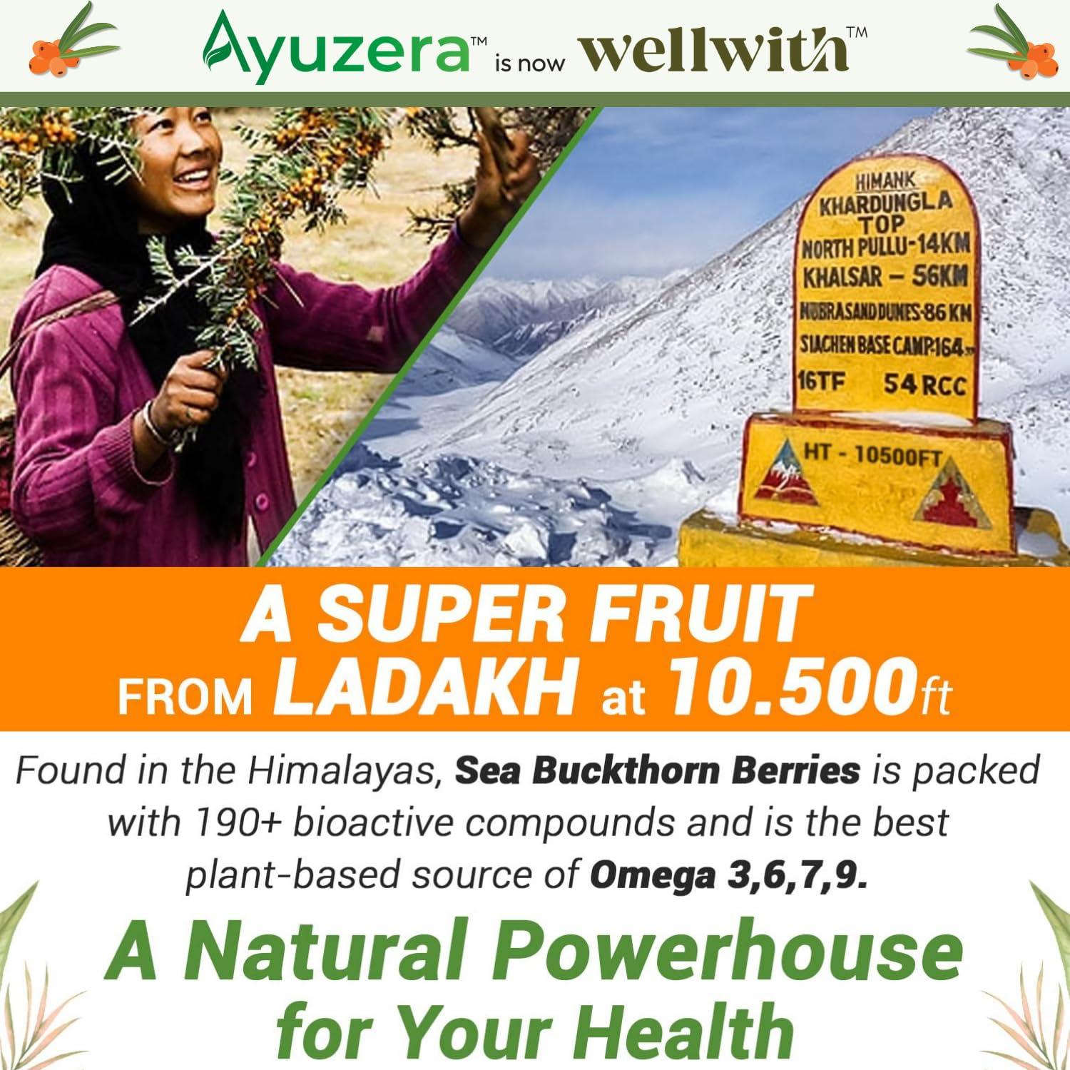 Ayuzera Ayuzera Himalayan Sea Buckthorn Pulp 300ml | Plant Based Vegan Omega 3, 6, 7 and 9 | Vegetarian Liquid Supplements | No Fish Oil | Veg, Natural & Organic | Makes up to 50 Glass Juice | Rich in Omega 7, Antioxidants, Vitamins (300ml, Pack Of 1)