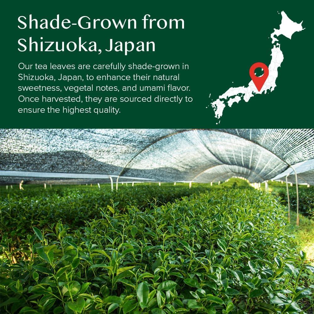 VAHDAM VAHDAM, Matcha Green Tea Powder, 50g 100% Pure Japanese Matcha Green | Matcha Tea Sourced from Shizuoka, Japan | Classic Culinary Grade Matcha for Smoothies, Latte