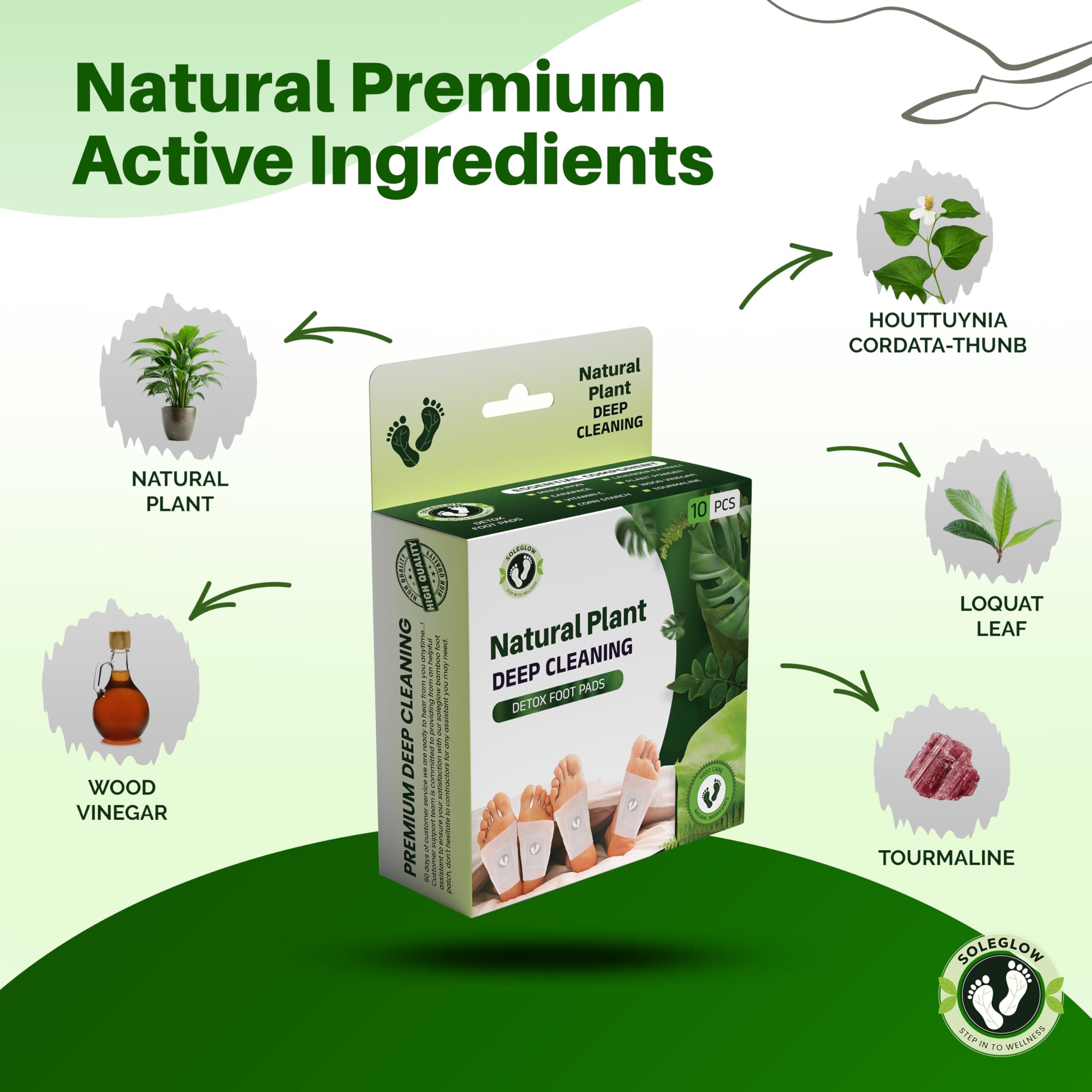 SOLEGLOW Soleglow Ultra Premium Detox Foot Patches Cleansing Toxin Remover Foot Pads For Men And Women Stress Relief & Detoxification (Pack of 1, Natural Plant)