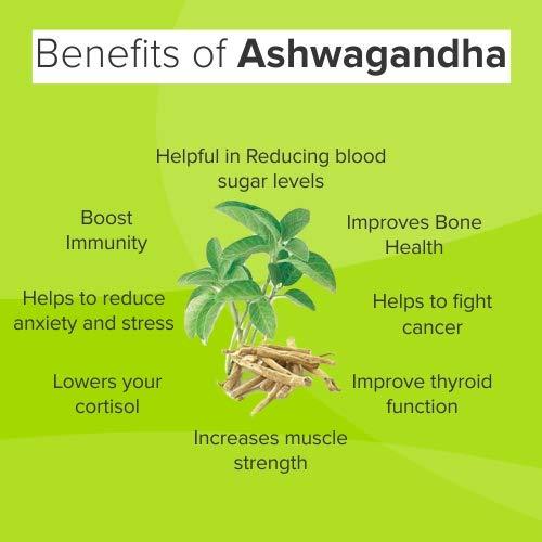 Generic Ashwagandha Root || Withania Somnifera || Raw Ashwagandha 100 g