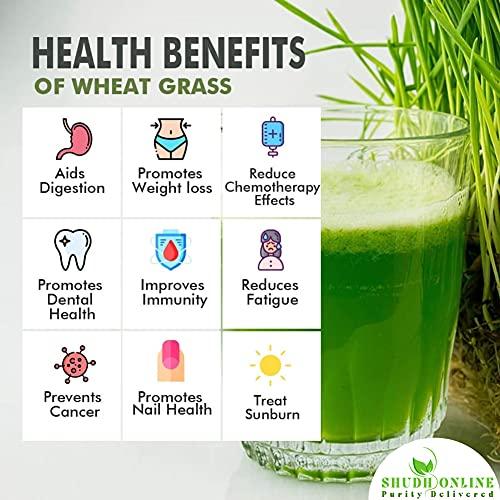 Shudh Online Shudh Online Wheat Grass Powder Organic, Wheatgrass Juice powder (50 Grams) - Rich in Chlorophyll, Detox, Plant Protein, Natural superfood, No sugar