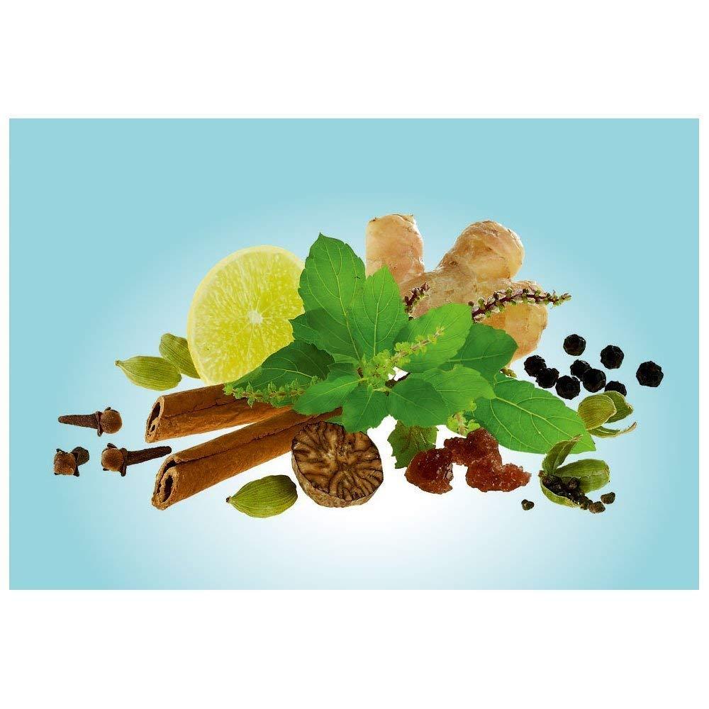 Girnar Girnar Detox Desi Kahwa Green Tea Bags - Set Of 36 (Pack Of 2), 260 Gm