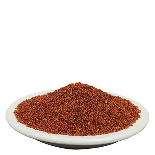 Yuvika YUVIKA Rai Seeds - Red Mustard Seeds (100 Grams)