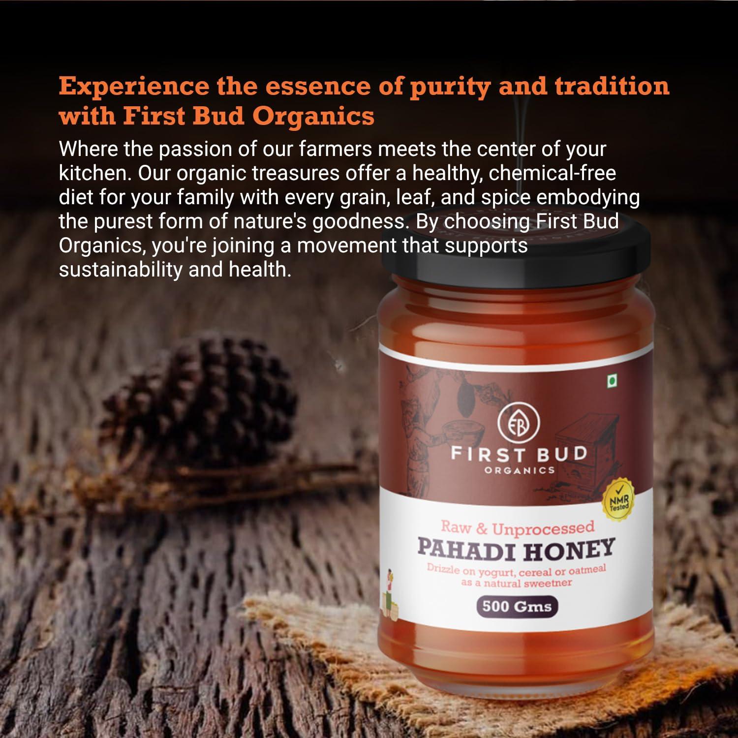 First Bud Organics First Bud Organics - Pahadi Honey (500g) | Organic Raw Honey NMR Tested | Pure Natural Honey in Fresh Packaging | Wild Forest Raw Organic Honey Unprocessed