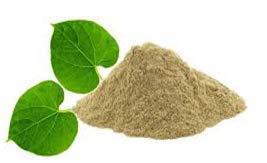 Herboleaf Organic Herboleaf Organic Amrutha Valli Tinospora Cordifolia Powder Giloye/Giloy Plant/Neem Tree Guruch Fresh Giloy Powder (200 Gram)