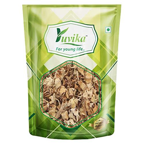 Yuvika YUVIKA Aak ka Phool - Aakh Phool - Madar - Calotropis Procera (100 Grams)