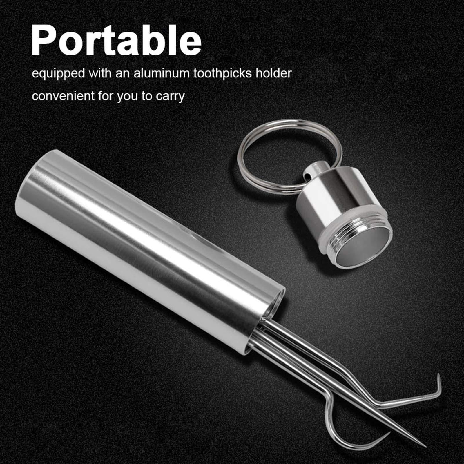 AIXING Portable Toothpicks Stainless Steel Tooth Pick Sticks Pocket Toothpick with lder for Teeth Cleaning & Teeth Care 3 Types