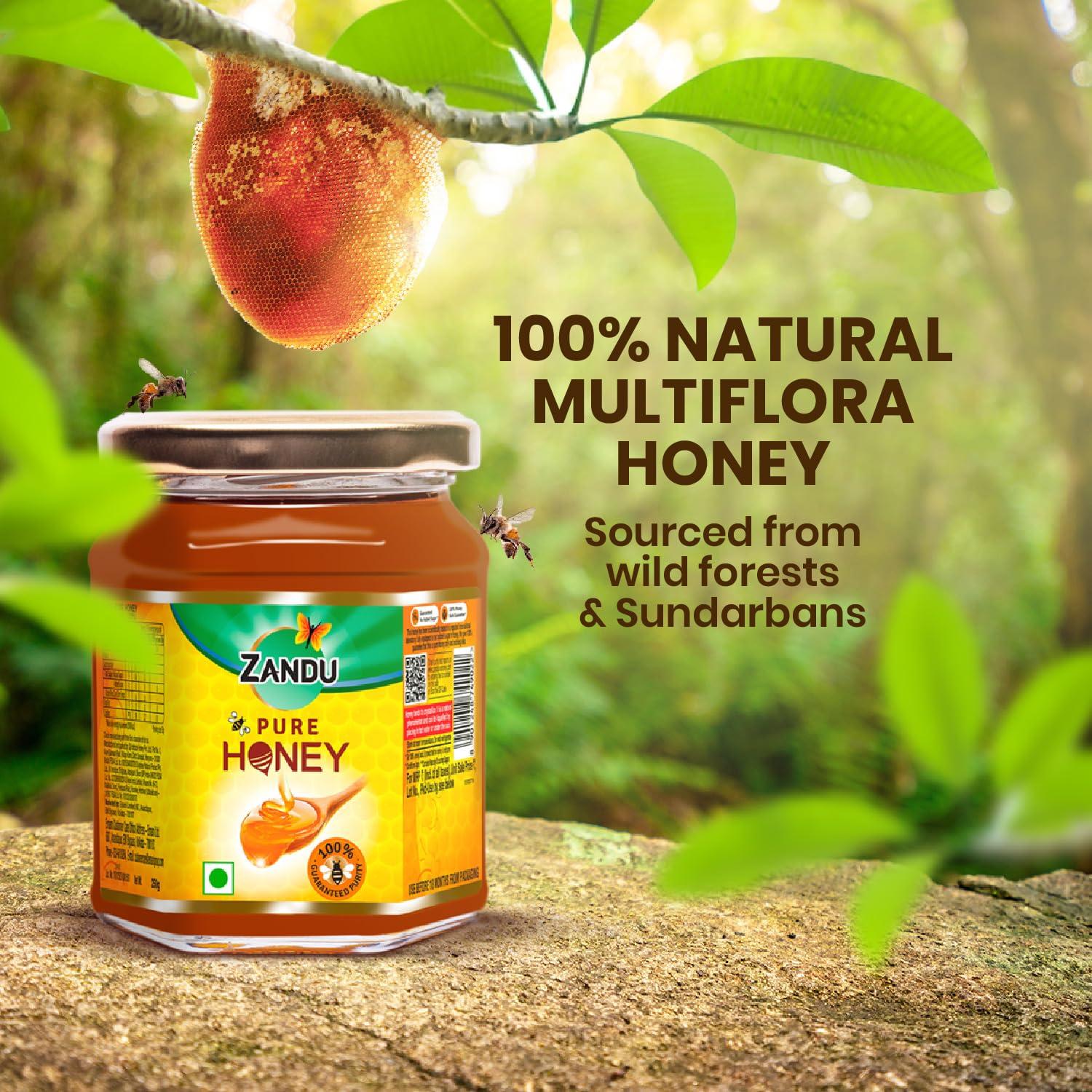 Zandu Zandu Pure Honey with Cinnamon, Green Tea & Lemon, 100% Purity, No Added Sugar, 250g