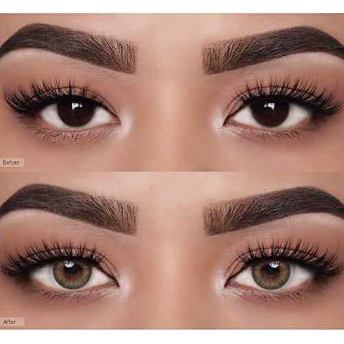 O-LENS O-LENS Spanish Real Brown - Coloured Contact Lens (Monthly Disposable, -1.75 / 2pcs / Real Brown), Natural Looking & Comfy Eye Color Lenses