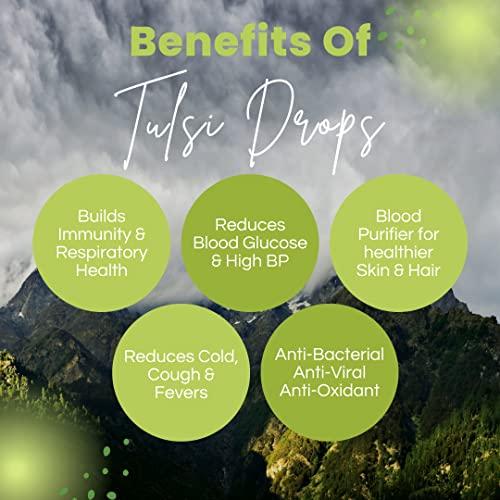 Herby Pure Herby Pure Panch Tulsi Ark Drops | Made of 5 Types of Rare Tulsi | For Immunity, Cough & Colds, Anti-Oxidant & Blood Detox | 100% Natural Drops | Pack of 2-60ML