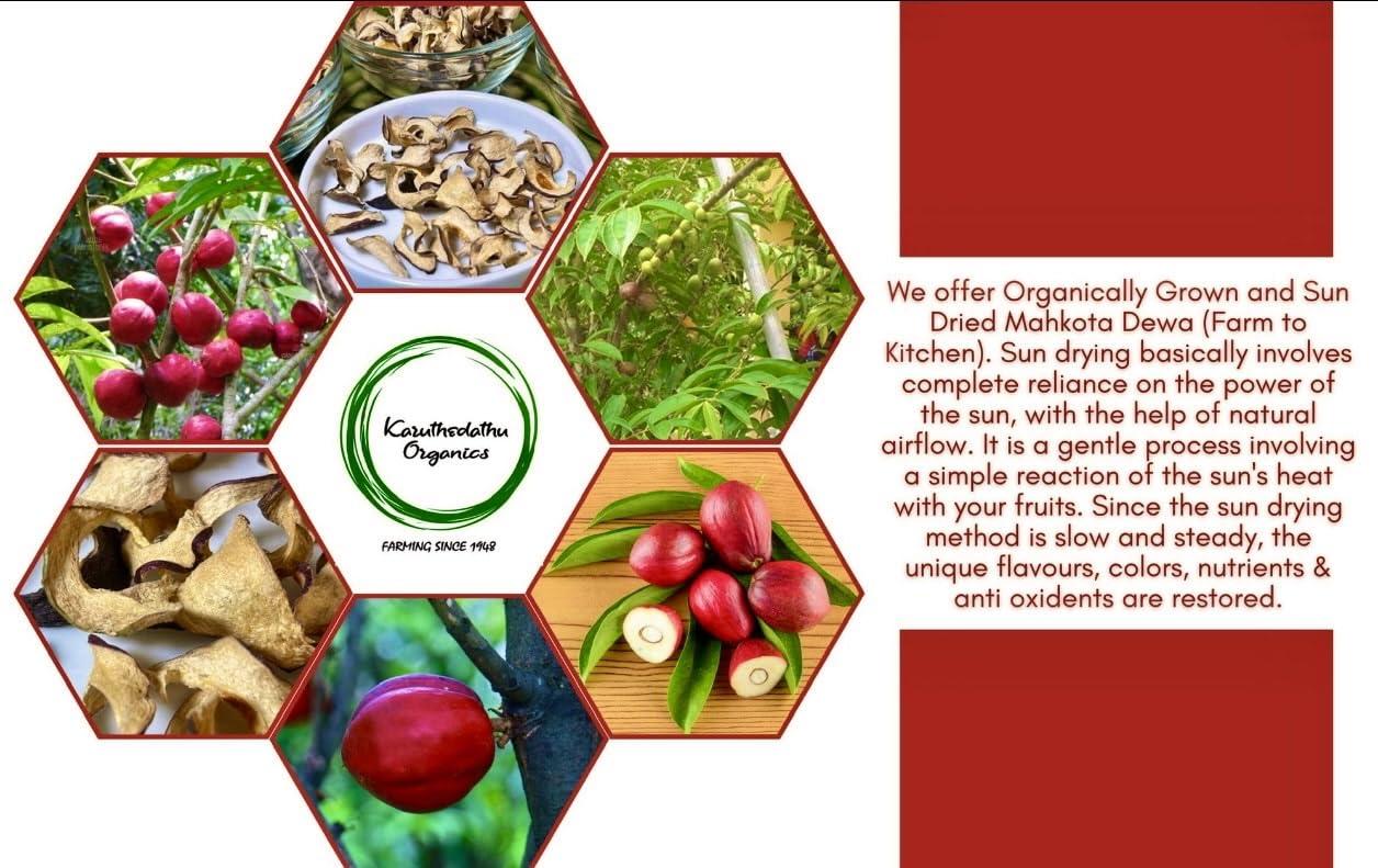 Karuthedathu Organics Karuthedathu Organics - Mahkota Dewa/God's Crown | Phaleria Macrocarpa Sun Dried Fruit Slices (50 Grams) Pack of 1. Natural Remedy for Diabetic Patients