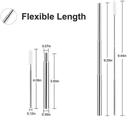 IKTU Iktu Telescopic Reusable Straws, Portable Stainless Steel Drinking Straw with Cleaning Brush and Storage Case, Folding Metal Straw for Travel, Home and Office (Silver + Rainbow)