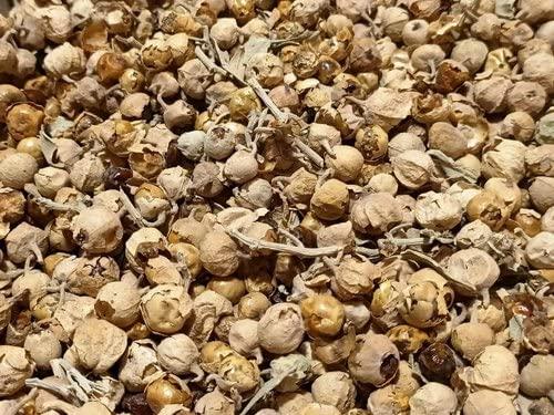 BANRUJJEDER ORCHID BAGAN PRIVATE LIMITED Paneer Phool for Diabetes 250 grams - Paneer Phool - Paneer Doda - Indian Rennet - Withania Coagulans - Anti-Diabetic