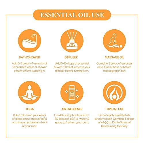 Yazurveda Yazurveda Lavender Essential Oil & Sandalwood Essential Oil (Chandan Oil), Pack of 2, (Each 15ml)