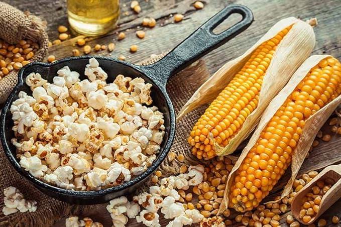 Generic Vanalika Popcorn kernals I Organic Popcorn Seeds I Maka Dana I Classic Butterfly Corn Kernels I 250gm