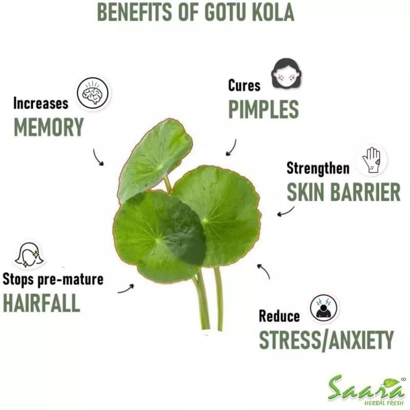 SAARA Saara HERBAL FRESH Vallarai Powder, 50g, Centella Asiatica, Gotu Kola Powder, Pennywort, Brahmi Booti, Saraswati, Vallarai keerai Powder, (pack of 1 x 50g)