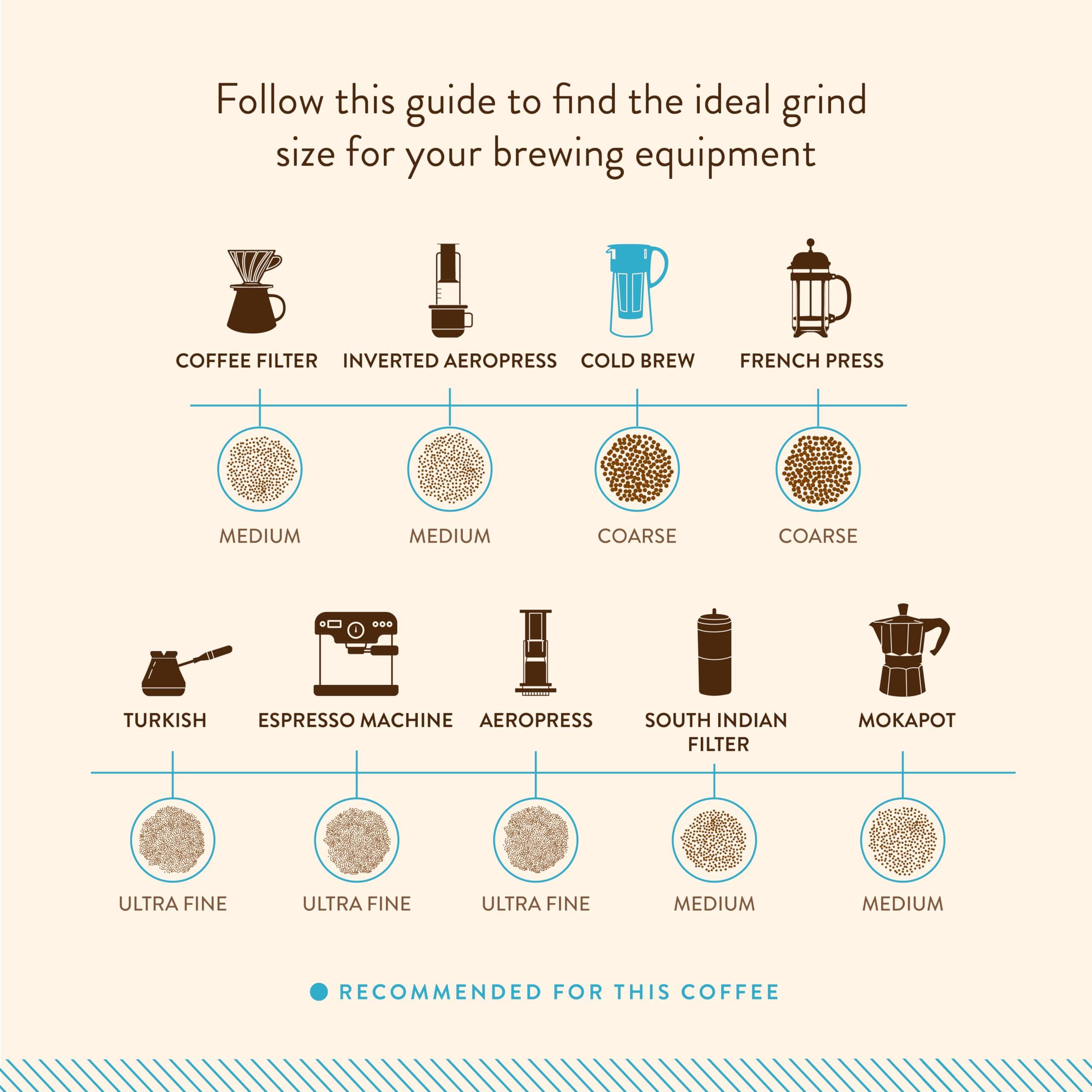 Blue Tokai Coffee Roasters Blue Tokai Coffee Cold Brew Blend Bold - Medium Dark Roast (Whole Bean) 500 g | Made with 100% Specialty Grade Arabica Freshly Roasted Coffee Beans