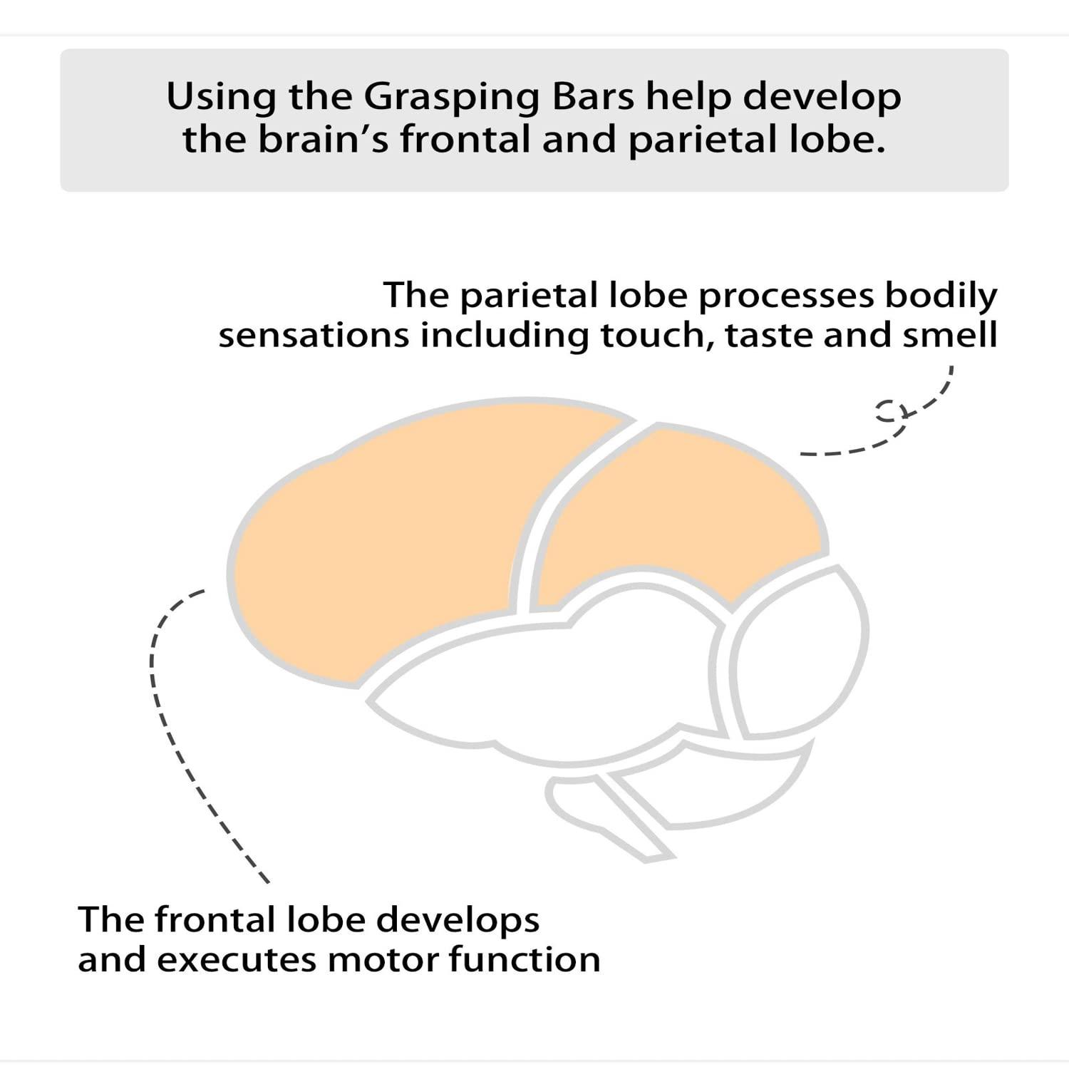 FIRSTCRY INTELLIBABY Intellibaby Premium Wooden Grasping Bars for Baby Girls/Boys | Learning Wooden Toy for Early Child Development | Pack of 3 | Non-Toxic | Best Birthday Gift for Babies | Brown | 5+ Months