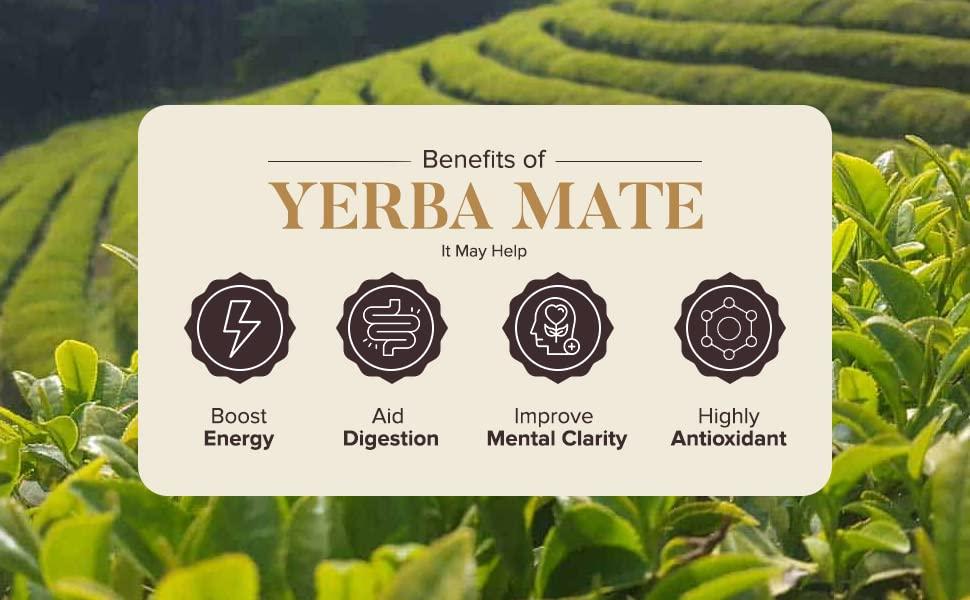 Chado Tea India Chado Tea Argentina Yerba Mate Loose Leaf Tea | Fresh Herbal Tea (50gm)