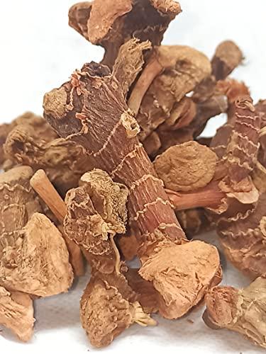 Generic NATURALIFE\'S-*SITHARATHAI*-CHITARATHAI I I Sitharathai I Lesser Galangal I Kulanjan I Alpinia Officinarum.