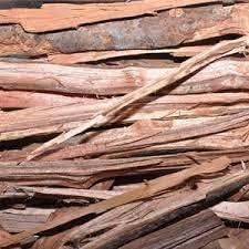 YAMKAY YAMKAY Agil Akil kattai Eagle Wood Agar Wood Aloe Wood Aquilaria Agallocha (100)