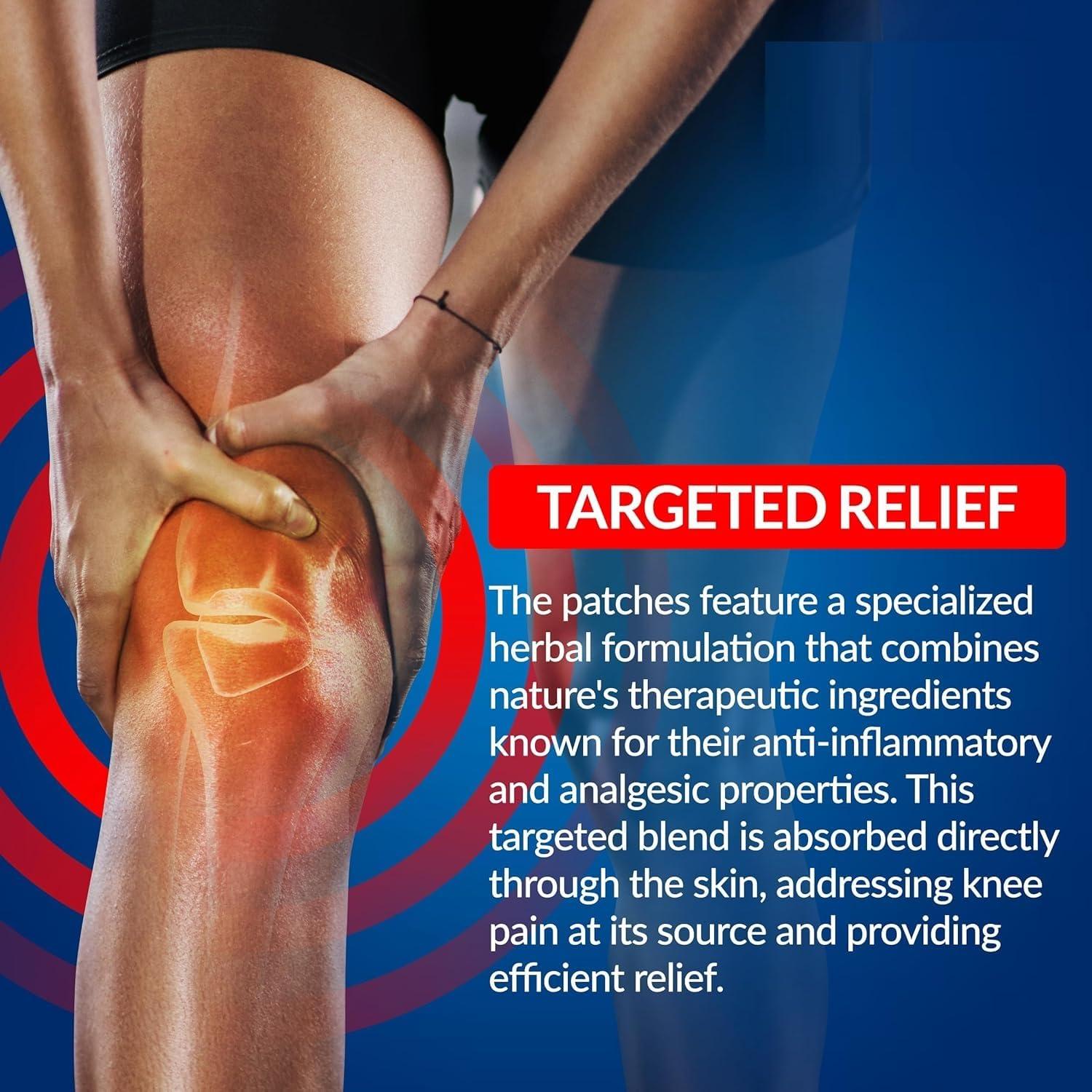 FI FIDROXIMPERIA PAIN RELIEF KNEE 20 PATCHES Herbal Knee Plaster Sticker Pain Relief and Inflammation Patches Joint Knee Relief Patches Kit Natural Wormwood Extract Sticker Knee Pain Relief Patches (Pack Of 20)