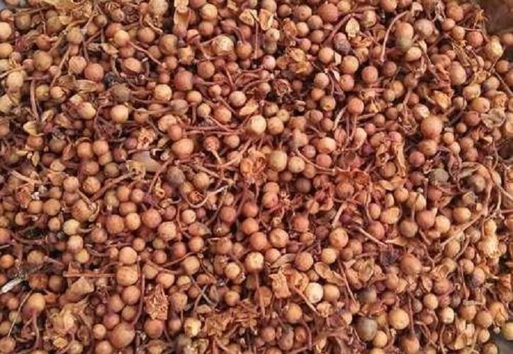 mygodgift Mygodgift Nag Kesar,Nagakesara/Nagkesar/Mesua Ferrea/Champa phool/Saffron Nagaesara (100g)