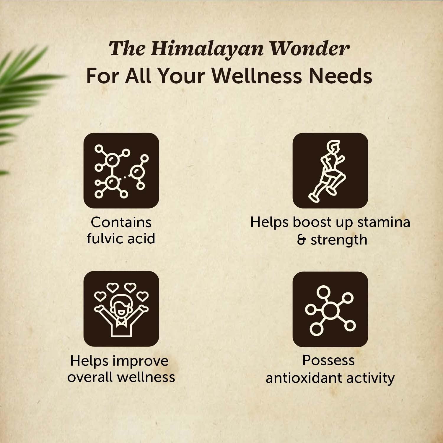 Neuherbs Neuherbs Shilajit - 30g |Himalayan Shilajeet Resin With 75% Fulvic Acid & 84 + Trace Minerals| Ayurvedic Original Shilajit for Endurance, Stamina and strength | Lab Tested for Purity.