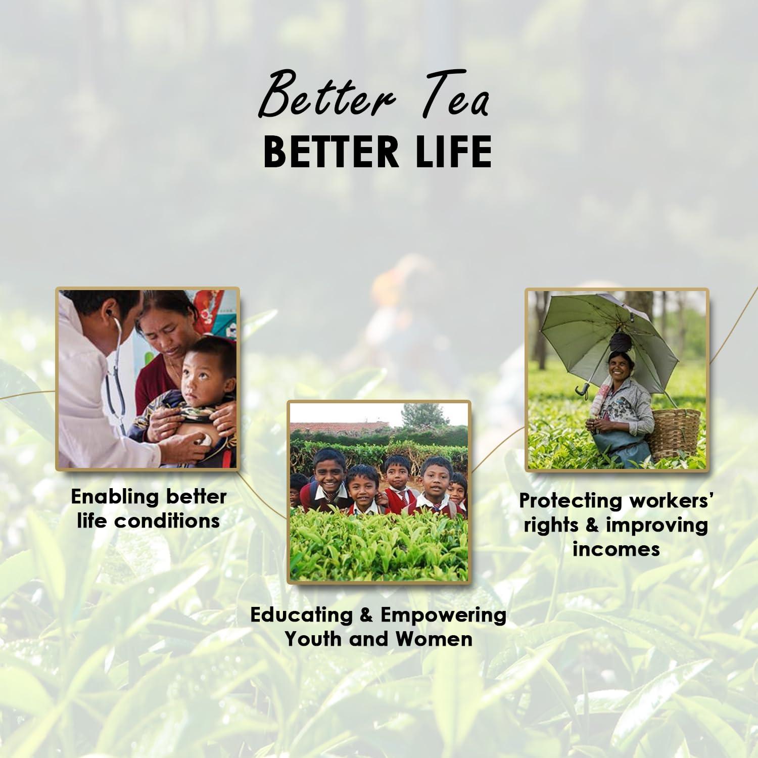 Twinings Twinings Assam Second Flush Tea Assam, Loose Leaves, 100G Tin