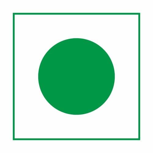 Yum Yum YUM YUM Premium Daily Needs Fresh and Healthy Dry Fruits Combo Pack 1Kg (Almonds 250g, Cashews 250g, Pistachios 250g & Kishmish Raisins 250g) Jar Each