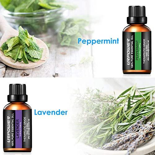 URPOWER URbeauty Essential Oils, Upgrated 6 Aromatherapy Essential Oil Diffuser Essential Oils 100% Pure Lavender, Peppermint, Sweet Orange, Eucalyptus, Tea Tree, Lemongrass Essential Oil Gift Set 10ml/each