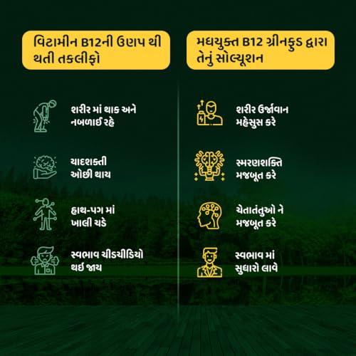 Generic PRISHA AYURVEDIC Plant Based Vitamin B12 Hanny Yukt Green Food Supplement C & A | Boost Energy Level | Good For Digestion And Stress | Glowing Skin For Men & Women (100 Gm)