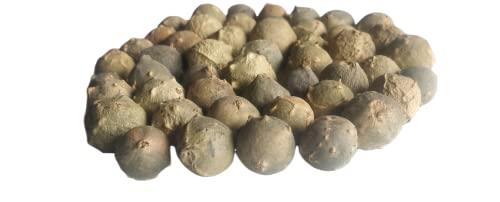 Ayushiv Ayushiv MAJUPHAL (QUERCUS INFECTORIA) - MANJAKANI - OAK GALL - GALLNUTS - Dyer's Oak - BLUE JACK - NUT GALLS (100 GM)