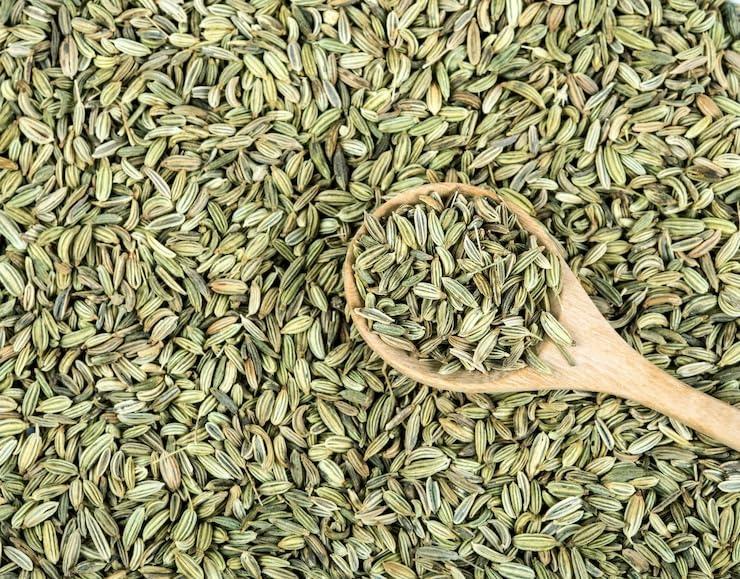 RJ 7773 RJ 7773 Organic Fennel Seeds | Glass Jar | Saunf, Variyali | Perumjeerakam Whole Spices Sombu Whole | Fennel Seeds Saunf | Saunf Rich Flavour (500g)