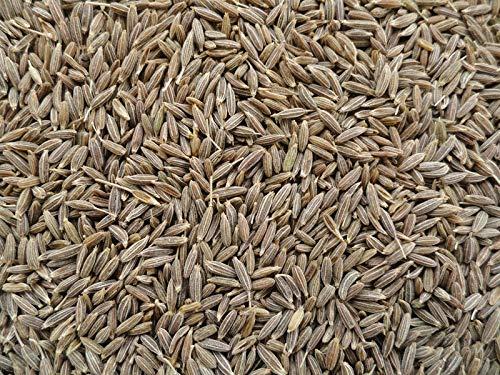 Yuvika YUVIKA Jeera Safed - Cuminum Cyminum - White Cumin Seeds (900 Grams)