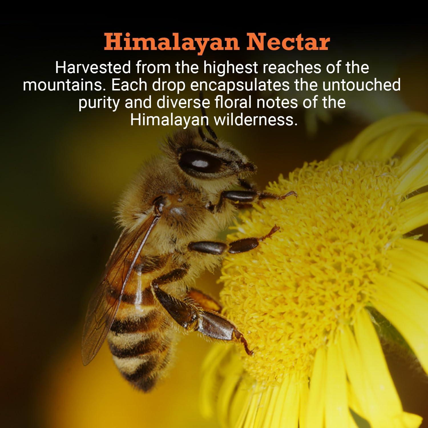 First Bud Organics First Bud Organics - Pahadi Honey (500g) | Organic Raw Honey NMR Tested | Pure Natural Honey in Fresh Packaging | Wild Forest Raw Organic Honey Unprocessed